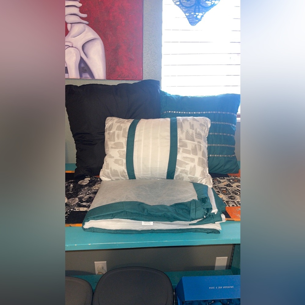 NEW Queen Bedskirt With 3 Throw Pillows